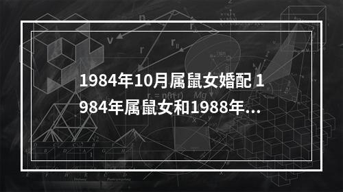 1984年10月属鼠女婚配 1984年属鼠女和1988年属龙的男相配吗
