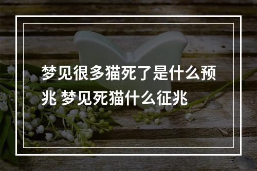 梦见很多猫死了是什么预兆 梦见死猫什么征兆