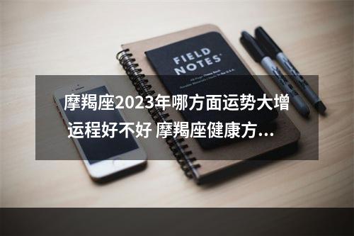摩羯座2023年哪方面运势大增 运程好不好 摩羯座健康方面
