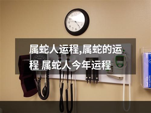 属蛇人运程,属蛇的运程 属蛇人今年运程