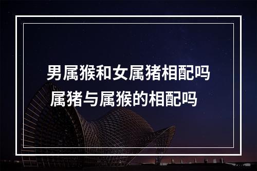 男属猴和女属猪相配吗 属猪与属猴的相配吗