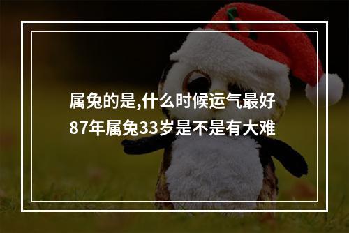 属兔的是,什么时候运气最好 87年属兔33岁是不是有大难
