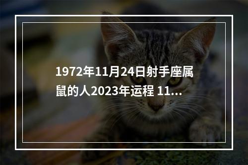 1972年11月24日射手座属鼠的人2023年运程 11月24日射手座运势