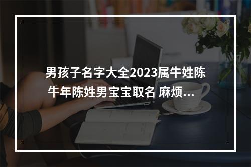 男孩子名字大全2023属牛姓陈 牛年陈姓男宝宝取名 麻烦大家帮下忙 谢谢 - 百度宝宝知道