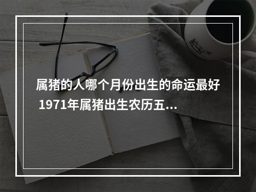 属猪的人哪个月份出生的命运最好 1971年属猪出生农历五月最好