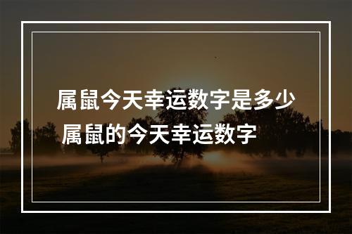 属鼠今天幸运数字是多少 属鼠的今天幸运数字