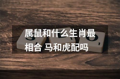 属鼠和什么生肖最相合 马和虎配吗