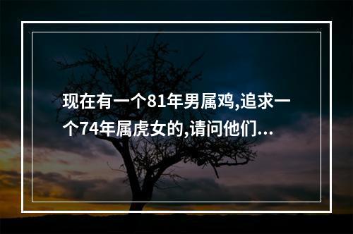 现在有一个81年男属鸡,追求一个74年属虎女的,请问他们能在一起吗... 1981年属鸡41岁1974虎姻缘