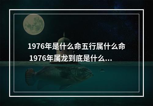 1976年是什么命五行属什么命 1976年属龙到底是什么命
