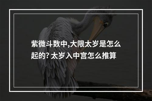 紫微斗数中,大限太岁是怎么起的? 太岁入中宫怎么推算