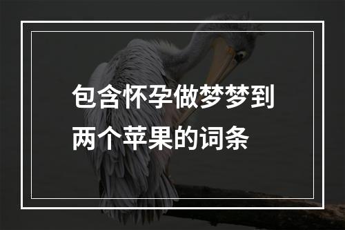 包含怀孕做梦梦到两个苹果的词条