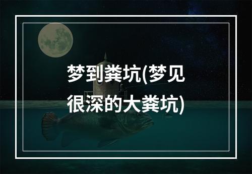 梦到粪坑(梦见很深的大粪坑)