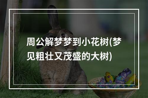 周公解梦梦到小花树(梦见粗壮又茂盛的大树)