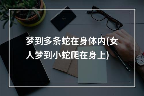 梦到多条蛇在身体内(女人梦到小蛇爬在身上)
