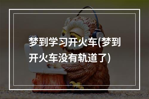 梦到学习开火车(梦到开火车没有轨道了)