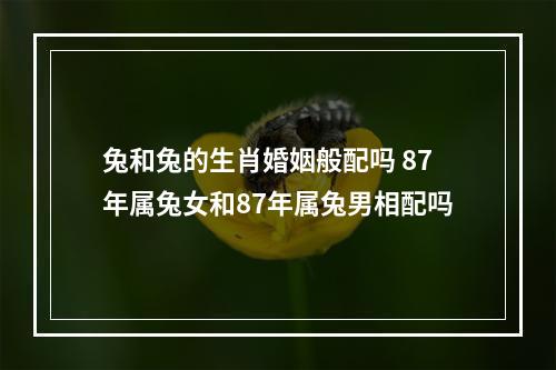 兔和兔的生肖婚姻般配吗 87年属兔女和87年属兔男相配吗