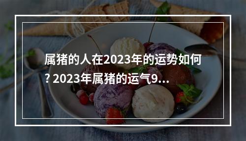 属猪的人在2023年的运势如何? 2023年属猪的运气95年男