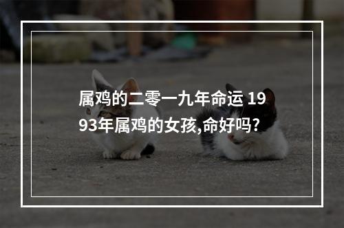 属鸡的二零一九年命运 1993年属鸡的女孩,命好吗?