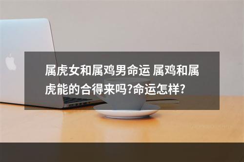 属虎女和属鸡男命运 属鸡和属虎能的合得来吗?命运怎样?