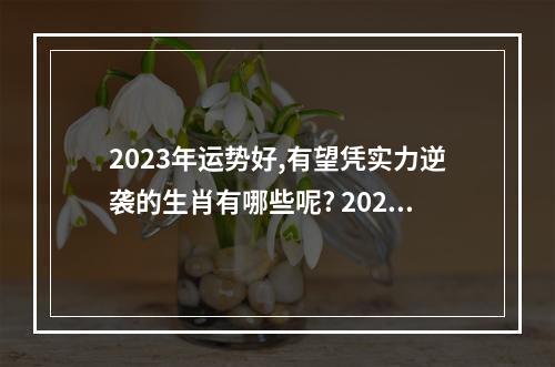 2023年运势好,有望凭实力逆袭的生肖有哪些呢? 2023年生肖运势图