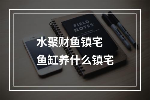 水聚财鱼镇宅 鱼缸养什么镇宅