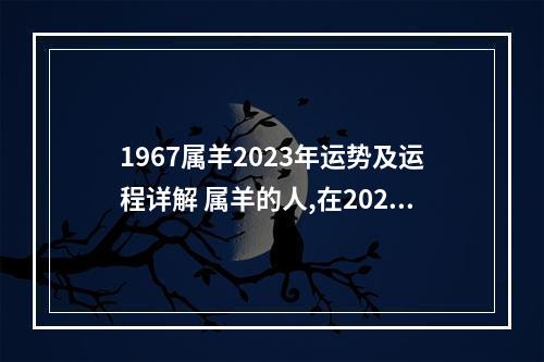 1967属羊2023年运势及运程详解 属羊的人,在2023年财运好不好啊?