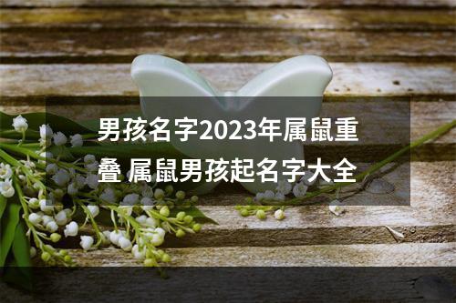 男孩名字2023年属鼠重叠 属鼠男孩起名字大全