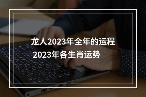 龙人2023年全年的运程 2023年各生肖运势