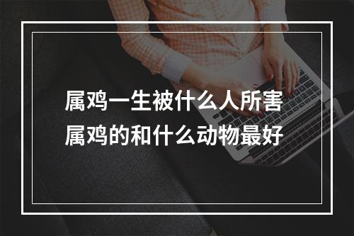 属鸡一生被什么人所害 属鸡的和什么动物最好