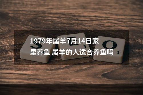 1979年属羊7月14日家里养鱼 属羊的人适合养鱼吗