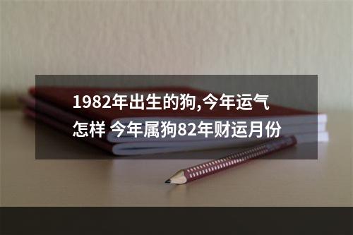1982年出生的狗,今年运气怎样 今年属狗82年财运月份