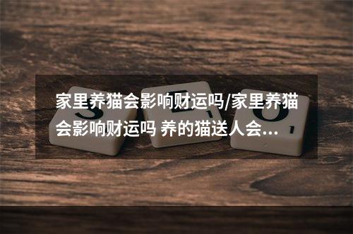 家里养猫会影响财运吗/家里养猫会影响财运吗 养的猫送人会不会影响财运