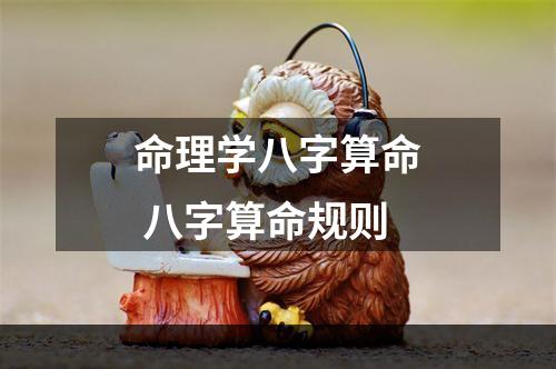 命理学八字算命 八字算命规则