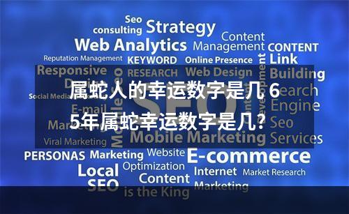 属蛇人的幸运数字是几 65年属蛇幸运数字是几?