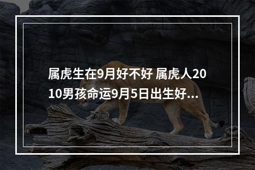 属虎生在9月好不好 属虎人2010男孩命运9月5日出生好不好?