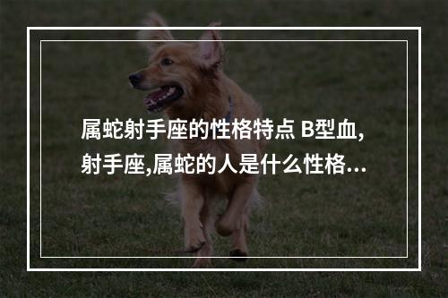 属蛇射手座的性格特点 B型血,射手座,属蛇的人是什么性格,本人男。