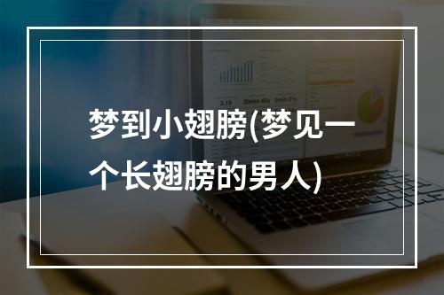 梦到小翅膀(梦见一个长翅膀的男人)