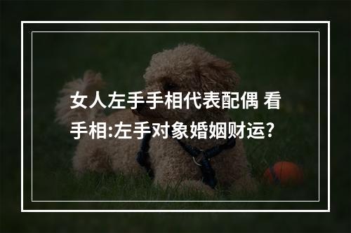 女人左手手相代表配偶 看手相:左手对象婚姻财运?