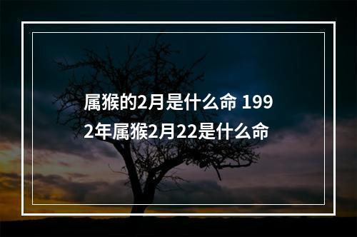 属猴的2月是什么命 1992年属猴2月22是什么命