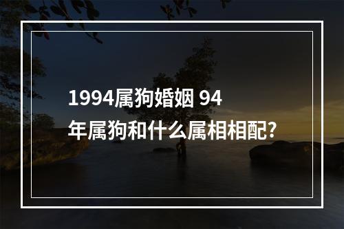 1994属狗婚姻 94年属狗和什么属相相配?