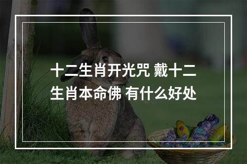 十二生肖开光咒 戴十二生肖本命佛 有什么好处