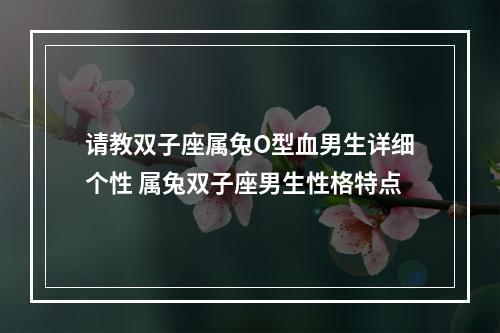 请教双子座属兔O型血男生详细个性 属兔双子座男生性格特点