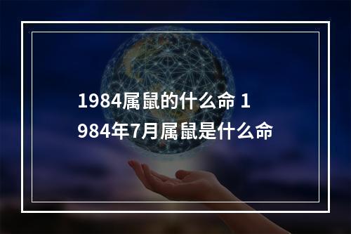 1984属鼠的什么命 1984年7月属鼠是什么命