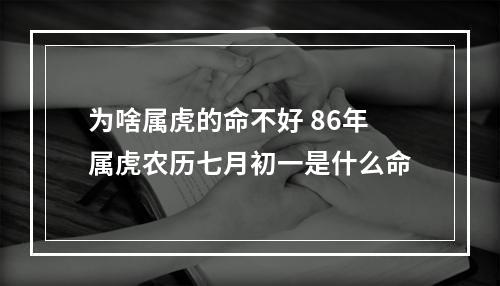 为啥属虎的命不好 86年属虎农历七月初一是什么命