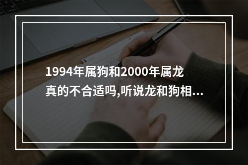 1994年属狗和2000年属龙真的不合适吗,听说龙和狗相冲 龙为什么和狗相冲