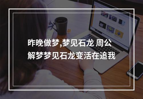 昨晚做梦,梦见石龙 周公解梦梦见石龙变活在追我