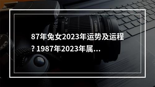87年兔女2023年运势及运程? 1987年2023年属龙人全年运势如何