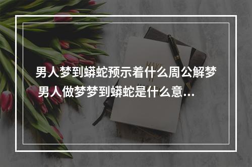 男人梦到蟒蛇预示着什么周公解梦 男人做梦梦到蟒蛇是什么意思?
