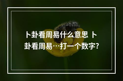 卜卦看周易什么意思 卜卦看周易…打一个数字?