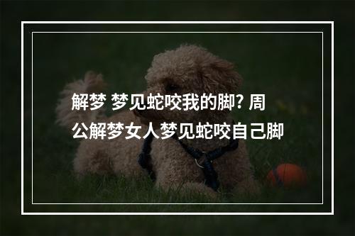 解梦 梦见蛇咬我的脚? 周公解梦女人梦见蛇咬自己脚